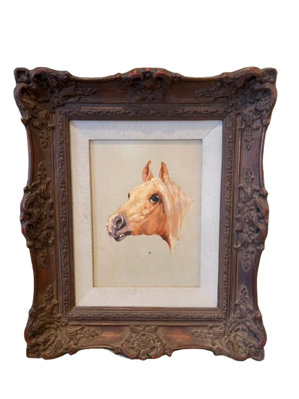 “Portrait of a Horse”