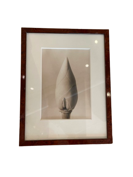 “Lotus Bud”