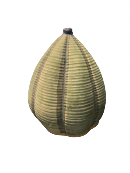 “Spiral Aqua Butterfly Egg”