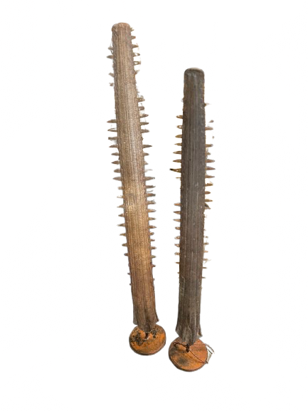 Pair of Sawtooth Bills